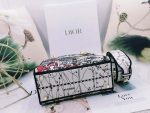 dior m0565 medium lady d lite multicolor florilegio embroidery m1029 07 luxibags.ru .jpg