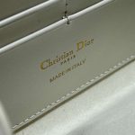 dior s5703 bobby east west pouch with chain white smooth calfskin 009 luxibags.ru .jpg