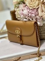 dior s5703ubpz m900 bobby east west pouch with chain brown smooth calfskin 003 luxibags.ru .jpg