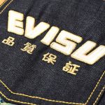 envisu jeans logo 1