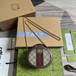 gucci 725147 ophidia mini chain bag brown 1 luxibags.ru .jpg