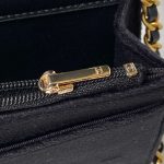 hanel ap3363 flap baguette bag velvet black 008 luxibags.ru .jpg