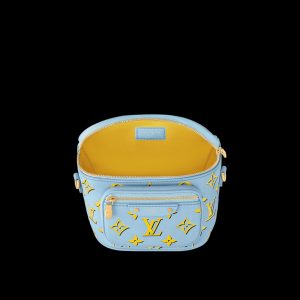 louis vuitton mini bumbag fashio 1.jpg