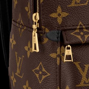 louis vuitton palm springs mini.jpg