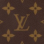 louis vuitton palm springs mini 4.jpg louis vuitton palm springs mini 4.jpg