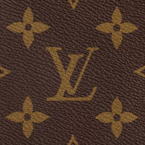 louis vuitton palm springs mini 4.jpg