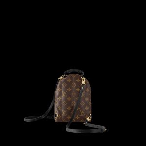 louis vuitton palm springs mini 5.jpg
