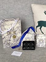 p500 30montaig nevoyageur bv70m.jpg