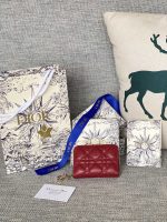 p500 30montaig nevoyageur durdl.jpg